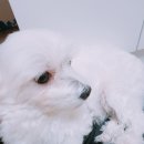 다이소김포 이미지