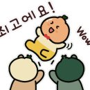 (주)제주미니버스투어서비스 이미지