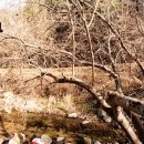 만배공인중개사사무소 이미지