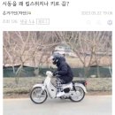 시동을 왜 킬스위치나 키로 끔? 이미지