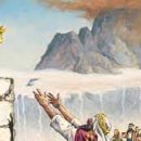 금송아지 이미지