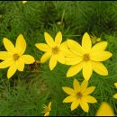 우리개발 이미지