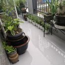 비오는 발코니 이미지