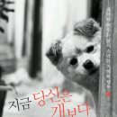 지금