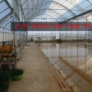 도촌농장 이미지