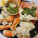 코아짱PC 이미지