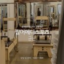 팔머메디스포츠