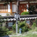 한옥펜션수진당 이미지