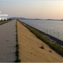 청둥오리직판장