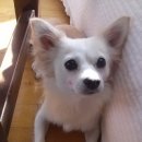 나눔농원 이미지