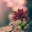 커피이야기 이미지