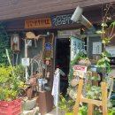 순창 강천산(剛泉山) 군립공원