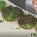 초록식탁 네이버블로그