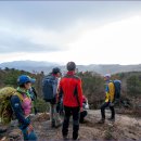 도장골2 이미지