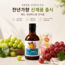 천년가향