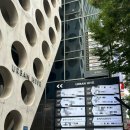 고고성형외과의원 | 강남 신논현 플레저성형외과에서 허벅지지방분해 루팡주사 2.0 시술받은 솔직후기 (2회차)