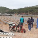 방하디딜방아 이미지