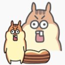 육단지