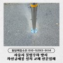 166-2-000014 | 사유지 불법주차 방지 차선규제봉 설치 교체 전문업체