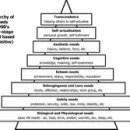 욕구계층이론 이미지