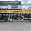 고릴라골프인천