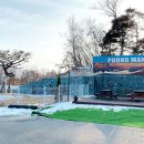 파운드맨션
