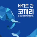 바다로간코끼리 네이버블로그