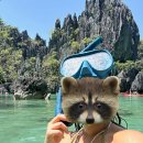 라스투어 | 4박 6일 일정 정리 1️⃣ 숙소 Palmera el nido inn, 투어 A 솔찍헌 후기, 스쿠터 렌탈, 라스 카바냐스 선셋