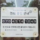 목포의 성심당, 목포케이크 케이크벨라무르 망고케이크크 솔직후기
