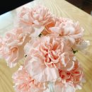 꽃조아화원 이미지