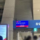 976 | 푸꾸옥 비엣젯항공 후기 VJ975 VJ976 비상구석 사전 체크인