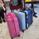 ㈜한솔에너지 | 25년도 전국지사장 카자흐스탄 연수