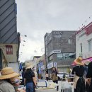 정원놀이사 양성과정 | 삼척시도시재생센터 정원놀이사 양성과정 마을정원사 4.대학로 게릴라가드닝