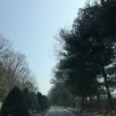 일동레이크대중제골프장 이미지