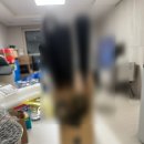 436 | 영구크린 436호점 이사 내돈내산 후기｜견적 비교부터 꿀팁까지