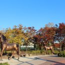 마들스타디움 이미지