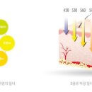 세광의원 이미지