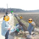 미애농장 이미지