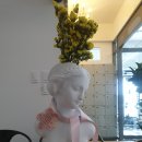 필라핏 156 이미지