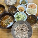 부산역 밥집 맛집 53년 전통의 노포 금호보리밥 내돈내산 후기