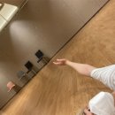 오뉴