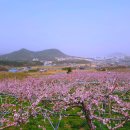 (주)선웅 이미지