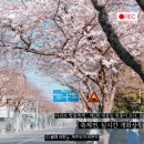 대륜세탁소 네이버블로그