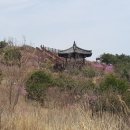 신어산 산림욕장 이미지