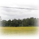 우수영중학교 이미지