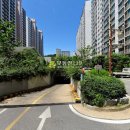 용호2로 이미지