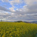 보리밭 노래비 이미지