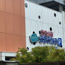 상주 맛집 남천식당, 3천원 해장국으로 유명한 상주 노포 맛집 내돈내산 후기
