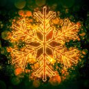 함평천지길 | 함평 겨울빛축제 2025 일정·주차·꿀팁 총정리