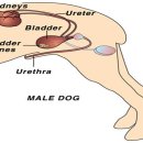 바다동물병원 이미지
